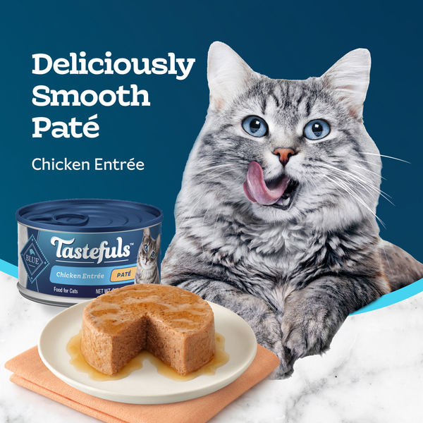 Blue Buffalo Tastefuls Natural Wet Food for Adult Cats, Flaked Chicken Paté DestGlow
