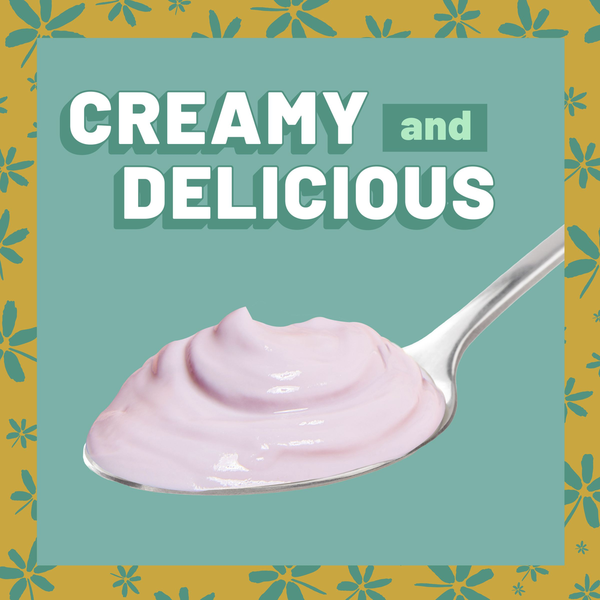 Yoplait Protein Mixed Berry Yogurt Cultured Dairy Snack Cup