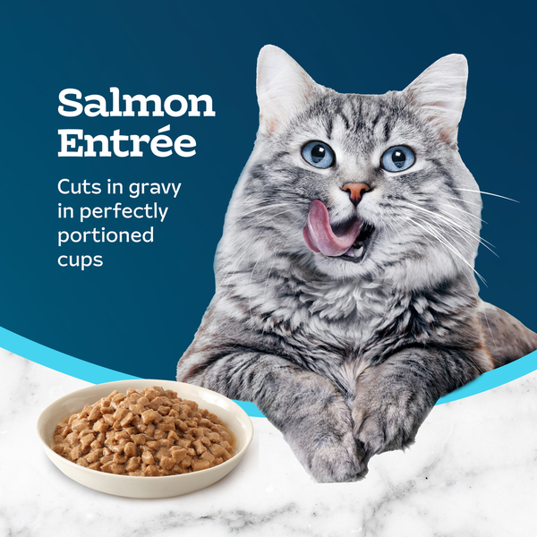 Blue Buffalo Tastefuls Savory Singles Wet Cat Food, Salmon, Twin-Pack Cups