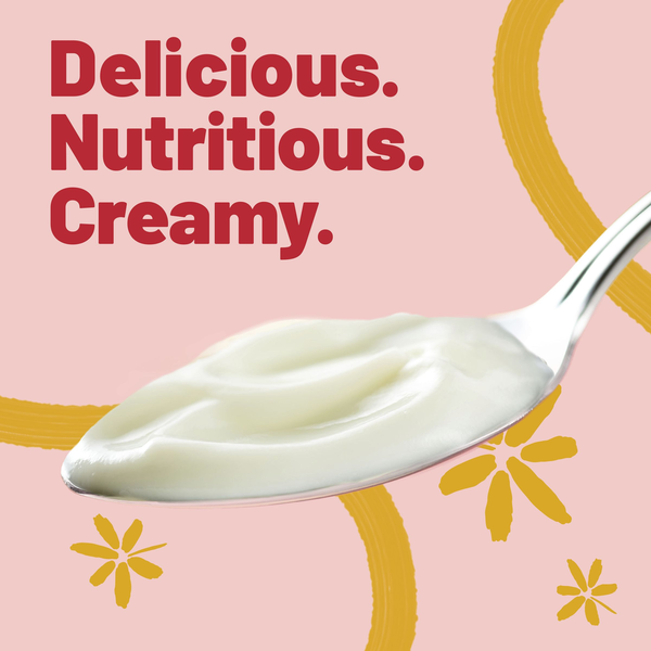Yoplait Original Low Fat French Vanilla Yogurt Cup