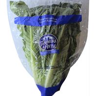 Romaine Lettuce️