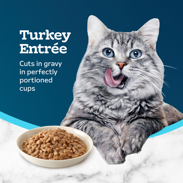 Blue Buffalo Tastefuls Savory Singles Wet Cat Food, Turkey, Twin Pack Cups
