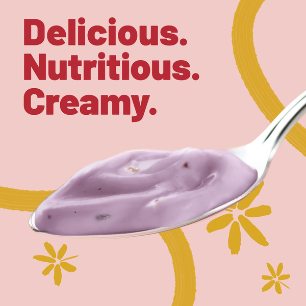 Yoplait Original Low Fat Mixed Berry Yogurt Cup