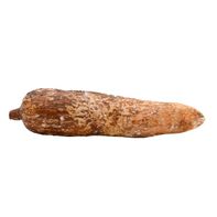Yucca️
