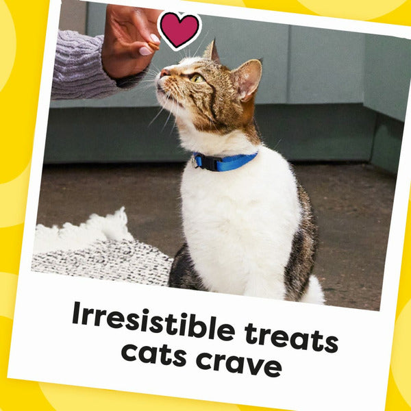 TEMPTATIONS Classic Crunchy and Soft Cat Treats Shrimp Flavor