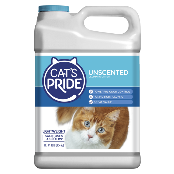 Cat&
