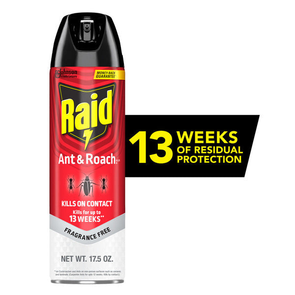 Raid® Ant and Roach Killer Insecticide Aerosol Spray, Fragrance Free