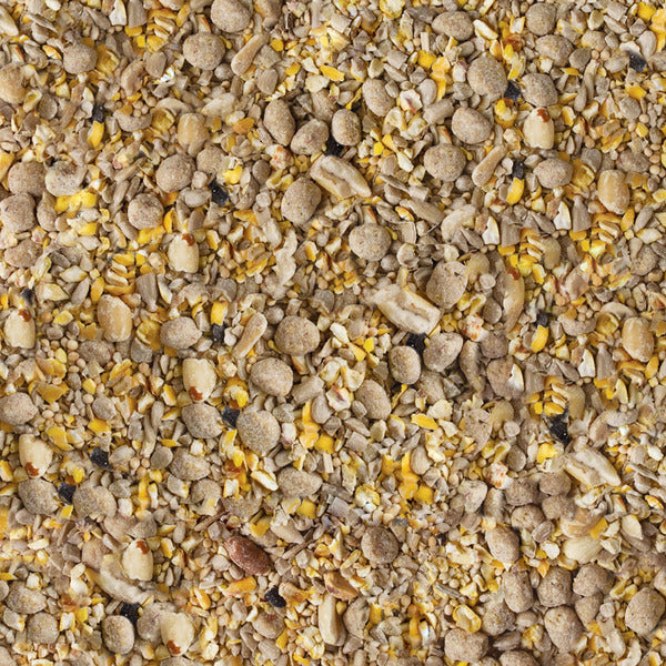 Kaytee Peanut Seed & Suet Wild Bird Food