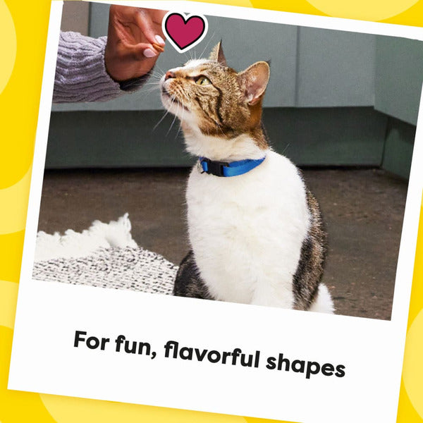 TEMPTATIONS Shakeups Crunchy and Soft Cat Treats, Crustacean Celebration Flavor