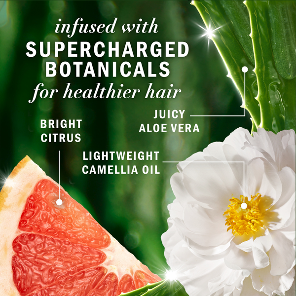 Herbal Essences White Grapefruit & Mosa Mint Volumizing Conditioner