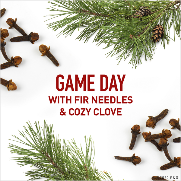 Old Spice High Endurance Anti-Perspirant Deodorant, 48 Hour Protection, Original Scent
