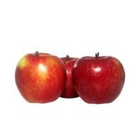 McIntosh Apple️