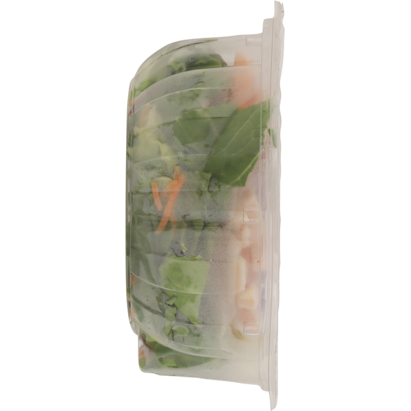 Taylor Farms Salad, with Turkey & Ham, Chef