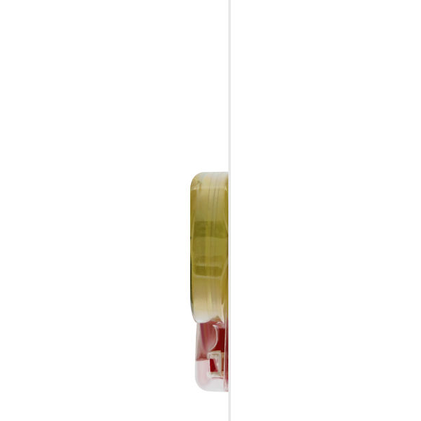BIC Correction Tape