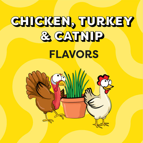 TEMPTATIONS Shakeups Crunchy and Soft Cat Treats, Clucky Carnival Flavor