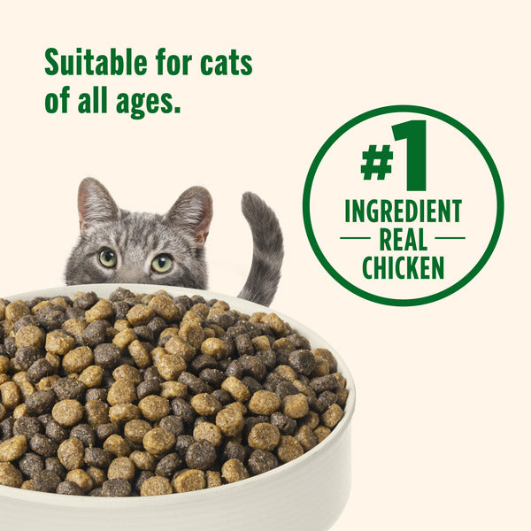 Rachael Ray Nutrish Real Chicken & Brown Rice Recipe Dry Cat Food, 6 lb Bag