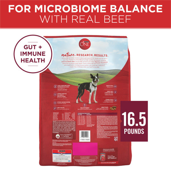 Purina ONE Small Bites Beef and Rice Formula Small Dog Food Dry