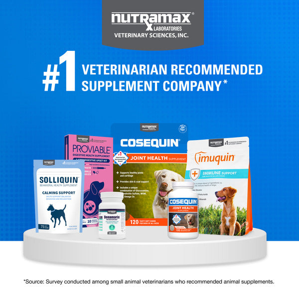 Nutramax Laboratories Nutramax Cosequin for Dogs Joint Health Supplement, Soft Chews, 60 Count
