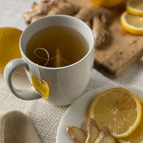 Bigelow Lemon Ginger Plus Probiotics Herbal Tea Bags