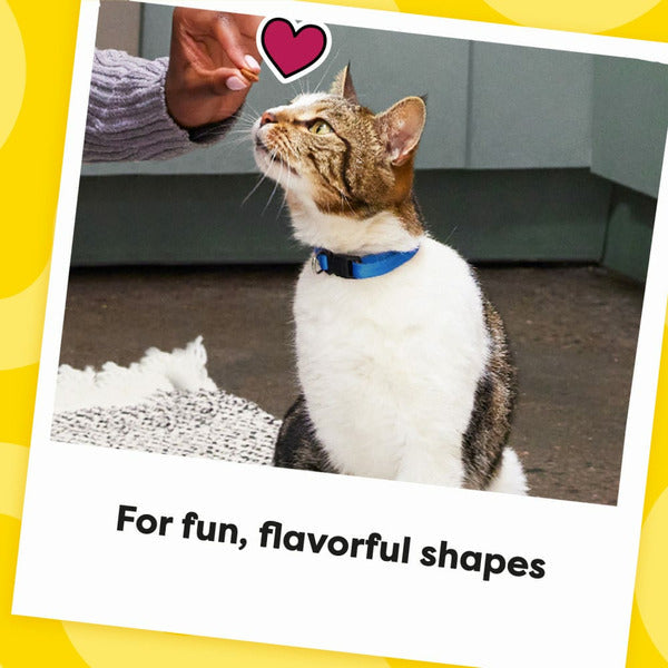 TEMPTATIONS Shakeups Crunchy and Soft Cat Treats, Clucky Carnival Flavor