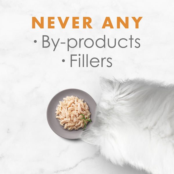 Purina Fancy Feast Broth Wet Cat Food Complement, Appetizers White Meat Chicken