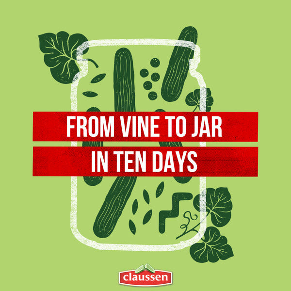 Claussen Kosher Dill Mini Pickles