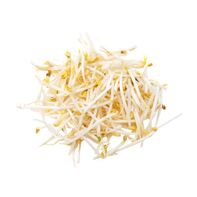 Bean Sprouts️