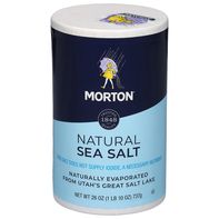 Morton Sea Salt Natural All Purpose️ DestGlow