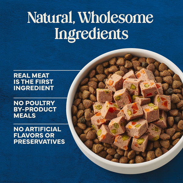 Blue Buffalo Love Made Fresh Dog Food, Refrigerated, Beef Recipe