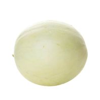 Honeydew Melon️