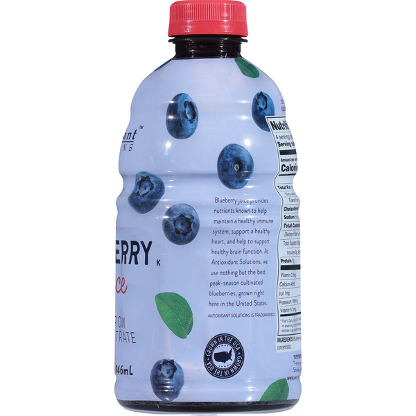 Antioxidant Solutions Juice, Blueberry