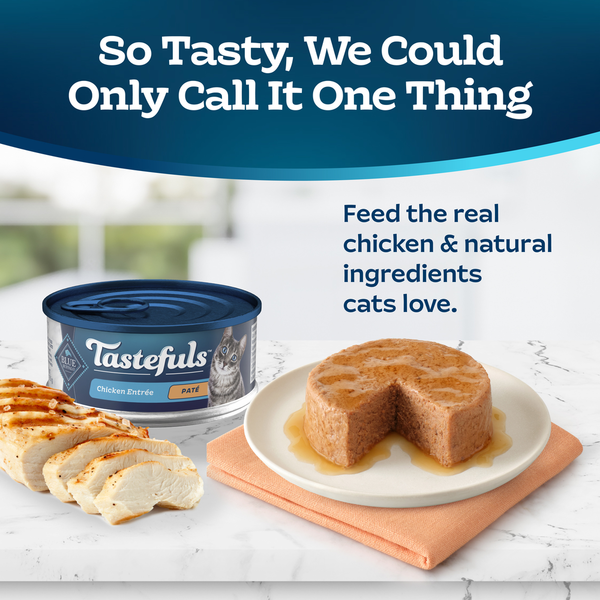 Blue Buffalo Tastefuls Natural Wet Food for Adult Cats, Flaked Chicken Paté
