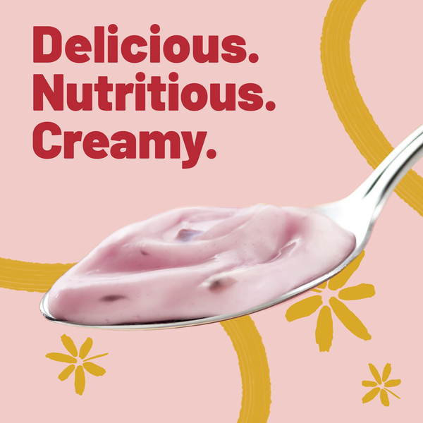 Yoplait Original Low Fat Cherry Orchard Yogurt Cup