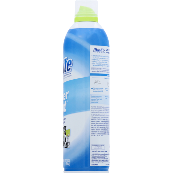 Woolite Carpet Spot & Stain Remover