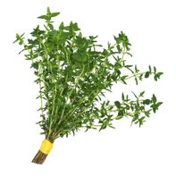 Meyer Farms Thyme️