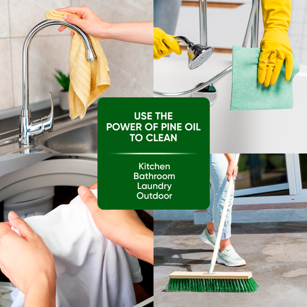 PINALEN Multipurpose Cleaner, Fresh Pine Scent