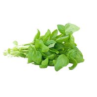 Thai Sweet Basil️