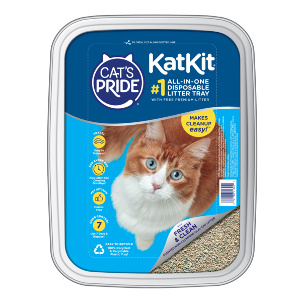 Cat&
