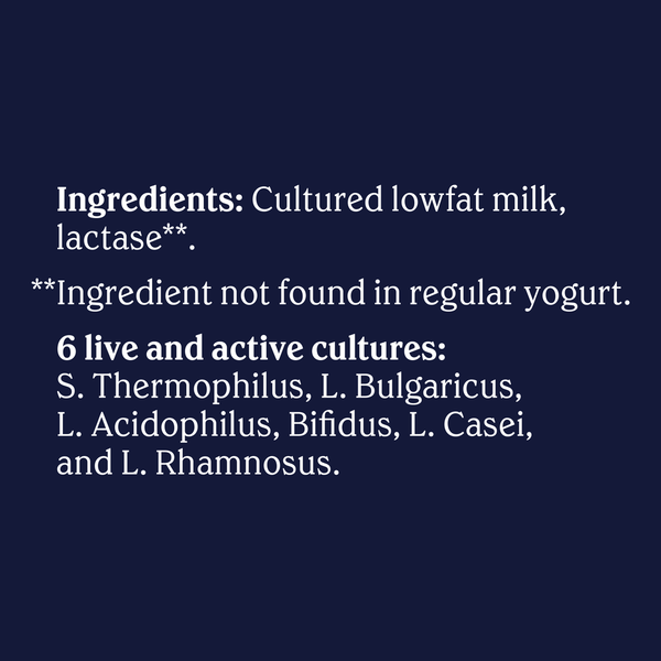 Chobani Lowfat Plain Greek Yogurt