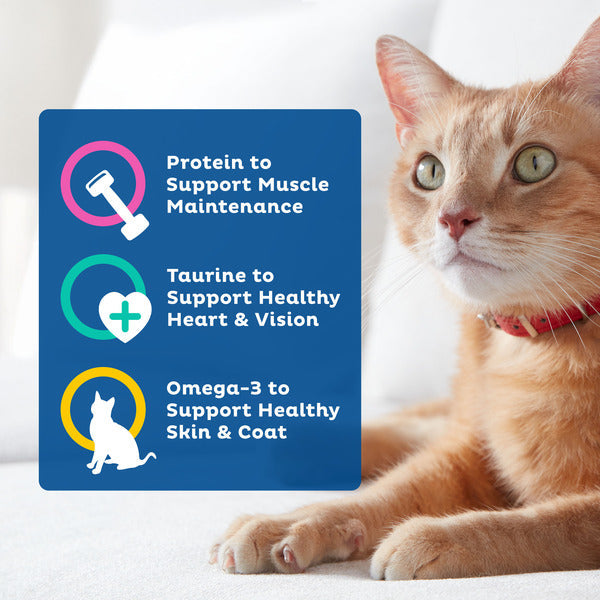 9Lives Daily Essentials Dry Cat Food for Adult Cats with Chicken, Beef & Salmon Flavors, 12 lb. Bag DestGlow