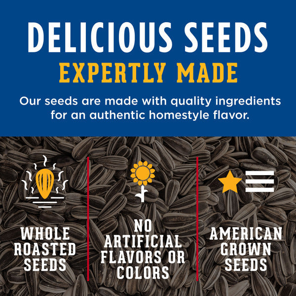 DAVID Roasted and Salted Original Sunflower Seeds
