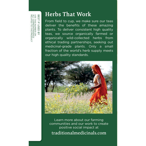 Traditional Medicinals Organic Ginger Caffeine Free Herbal Tea