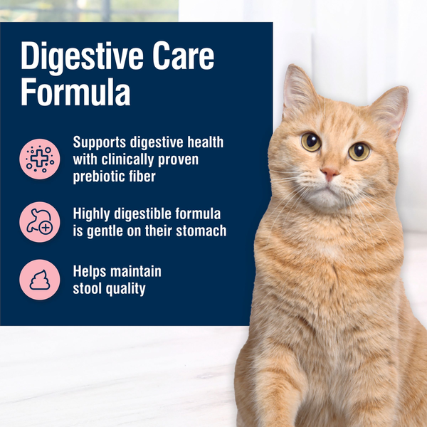 Blue Buffalo True Solutions Blissful Belly Natural Digestive Care Adult Dry Cat Food, Chicken DestGlow