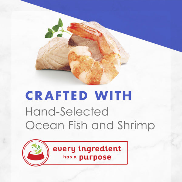 Purina Fancy Feast Wet Cat Food Complement, Appetizers Oceanfish With a Shrimp Topper in Broth DestGlow