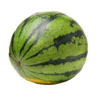 Mini Seedless Watermelon️