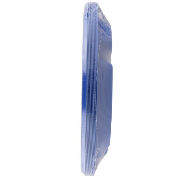 Simply Done 10-1/4" Party Compartment Plastic Plates