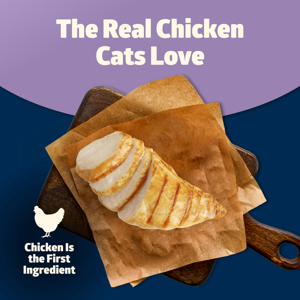 Blue Buffalo Freedom Grain Free Natural Adult Pate Wet Cat Food, Indoor Chicken DestGlow