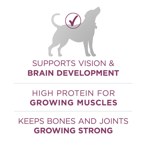Purina ONE Natural, High Protein Dry Puppy Food, +Plus Healthy Puppy Formula