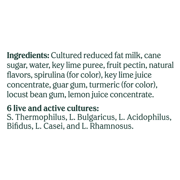 Chobani Reduced Fat Greek Blended Key Lime Yogurt Value Pack