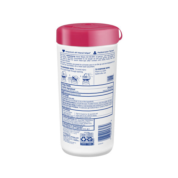 Wet Ones Hand Wipes Canister, Fresh Scent, 40 ct